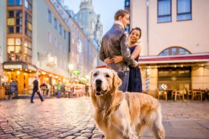 Fotoshooting Paar und Hund dresden Altstadt