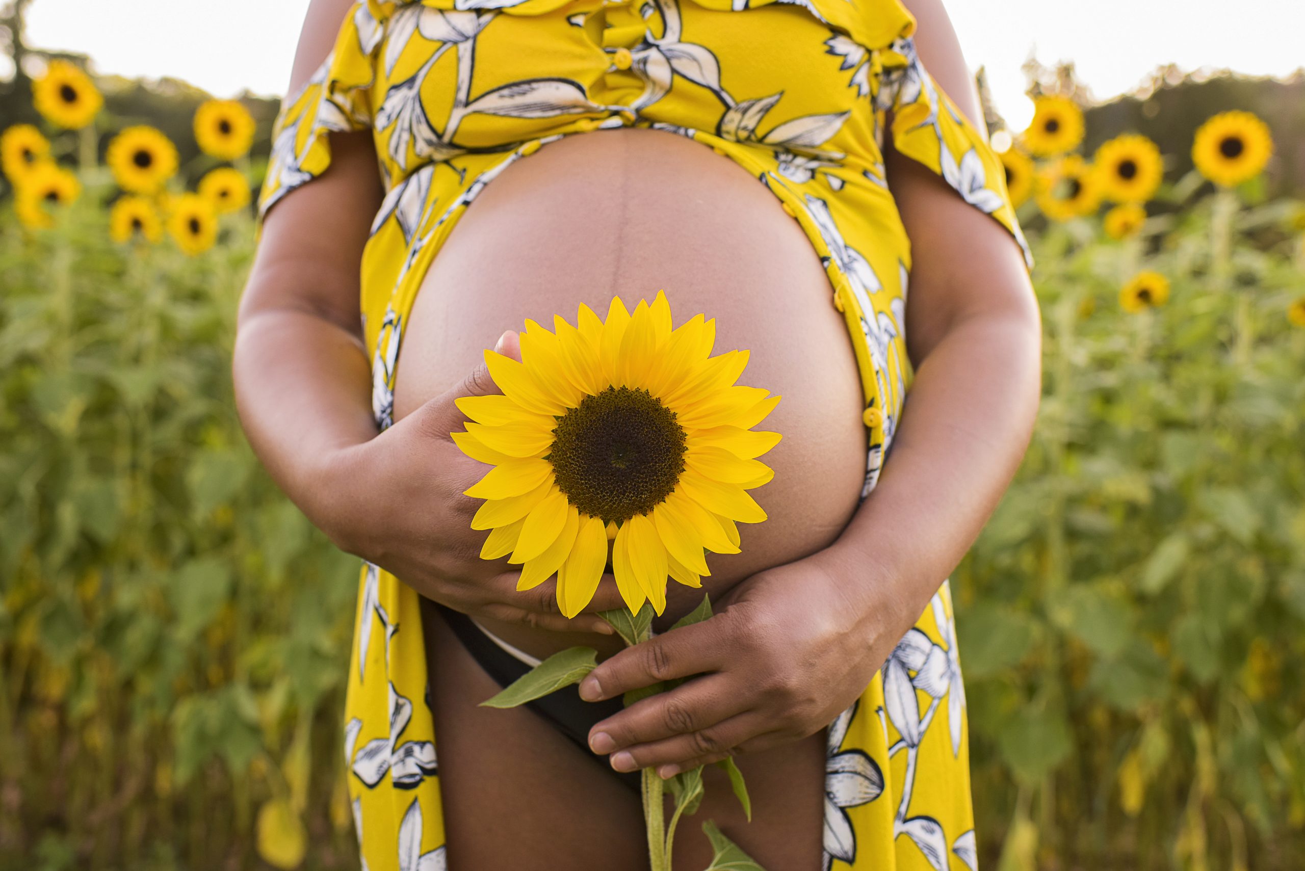 Schwangerschaft Fotoshooting in Freiburg und Offenburg mit Sonnenblume