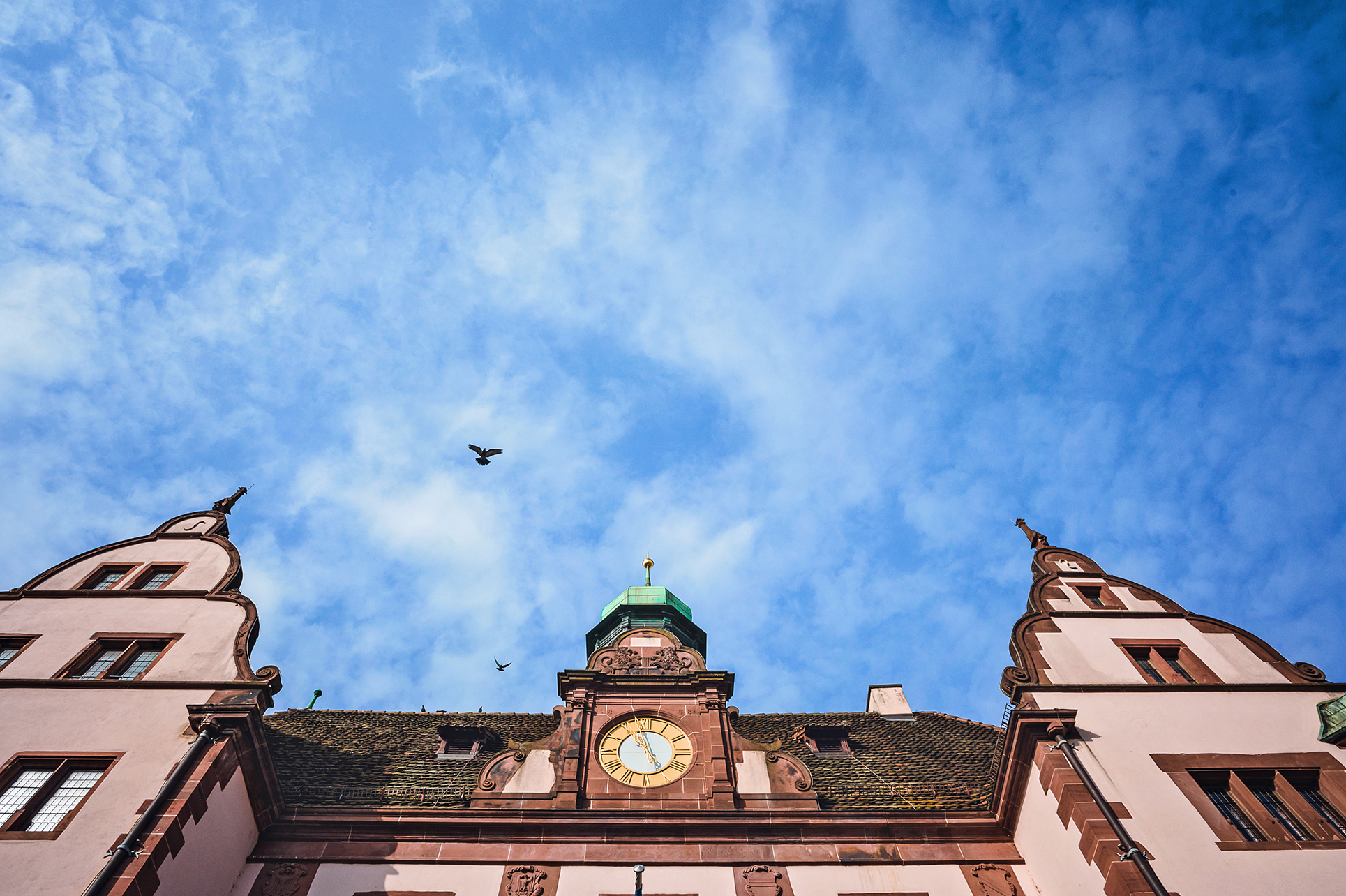 Ein Detailfoto des Alten Rathauses in Freiburg an einem sonnigen Tag mit blauem Himmel.